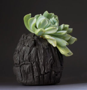 Ceramic Pots